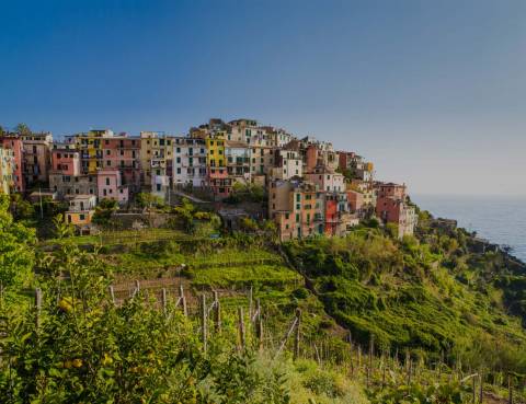 Corniglia
